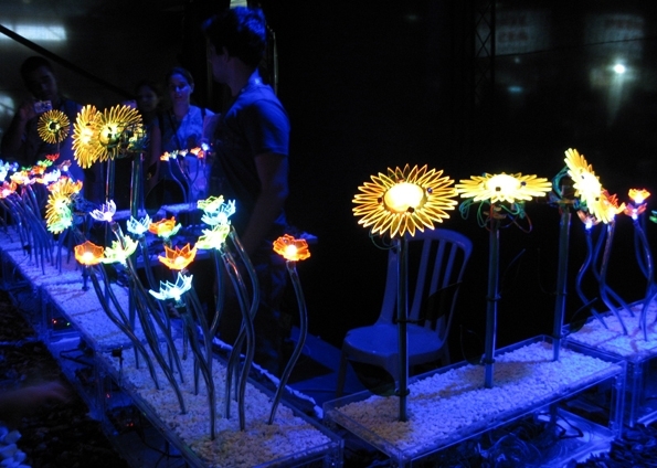 Campus Party: Veja o que aproveitar na exposição