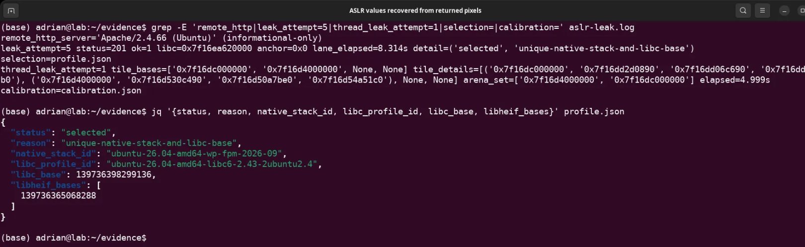 Live addresses recovered from returned pixels (Source : Fortbridge).